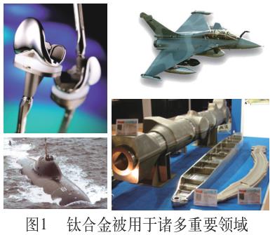 1702263752418474.jpg t1.jpg