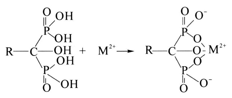 1723472685620183.jpg fh.jpg