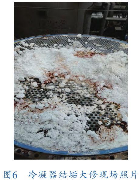 1728614045840140.jpg t6.jpg