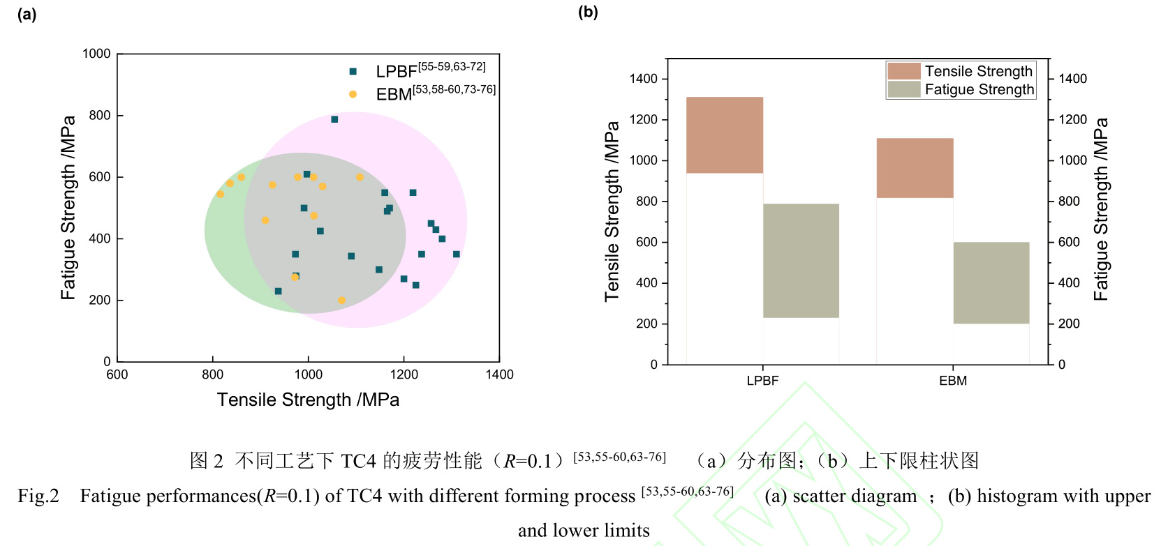 1728635500100793.jpg 2.jpg