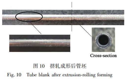 1732368781713838.jpg 10.jpg