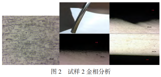 截圖20241229223319.png